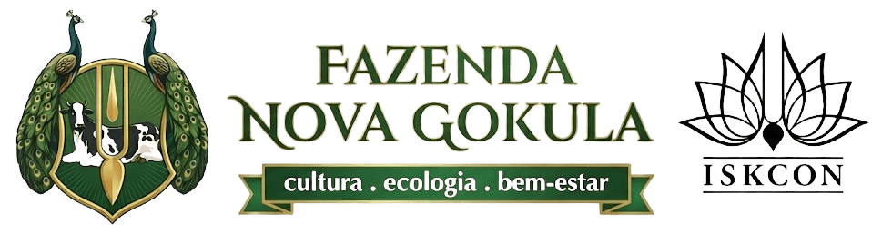 Nova Gokula